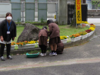 IMG_0525_1