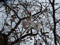 DSCN3290