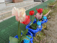 DSCN3294