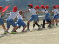 pict-IMG_1018