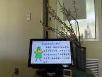 pict-IMG_4535