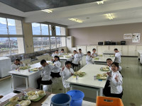 pict-2，3年生