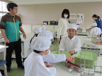 pict-IMG_5325