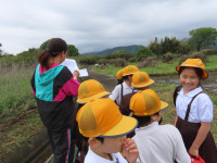pict-IMG_5578
