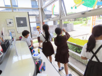 pict-IMG_5740