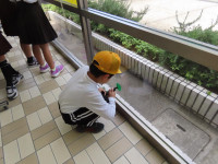 pict-IMG_5741