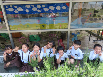 pict-IMG_5744