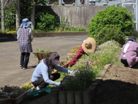 pict-IMG_5811