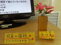 pict-IMG_5827