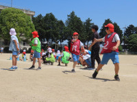 pict-IMG_5842