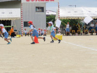 pict-IMG_3617