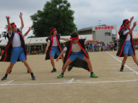 pict-IMG_3635