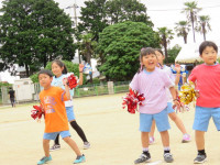 pict-IMG_3700