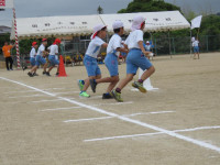 pict-IMG_3716