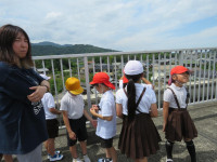 pict-IMG_3736