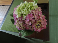 pict-IMG_6462