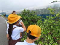 pict-IMG_6590