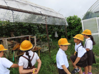 pict-IMG_6592