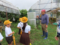 pict-IMG_6593