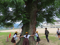 pict-IMG_6802