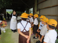 pict-IMG_7213