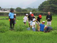 pict-IMG_7244
