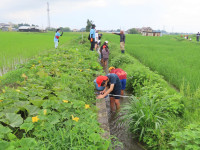 pict-IMG_7246
