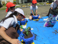 pict-IMG_8732