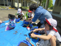 pict-IMG_8733