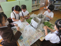 pict-IMG_8757