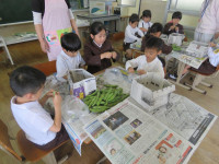 pict-IMG_8758