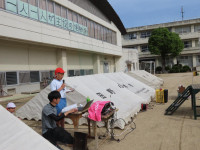 pict-IMG_8571