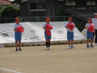 pict-IMG_8574