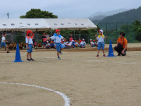pict-IMG_8648