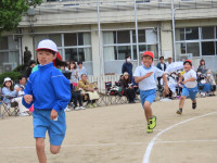 pict-IMG_8659