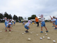 pict-IMG_8677