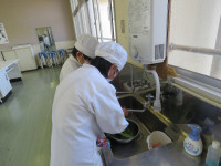 pict-IMG_0059