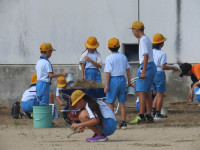pict-IMG_0005
