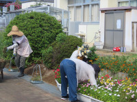 pict-IMG_0006