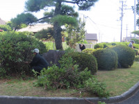 pict-IMG_9999