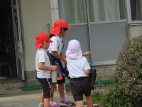 pict-IMG_0031