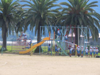 pict-IMG_0527