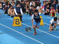 pict-IMG_0977