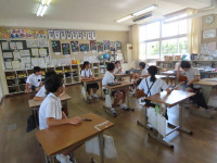 pict-IMG_7531