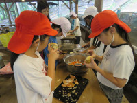 pict-IMG_4717
